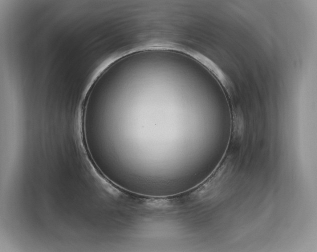 X0000111361006200907101227