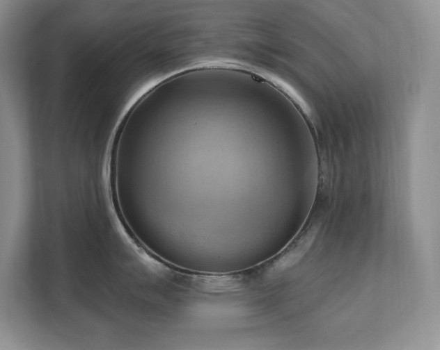 X0000111361007200907101227