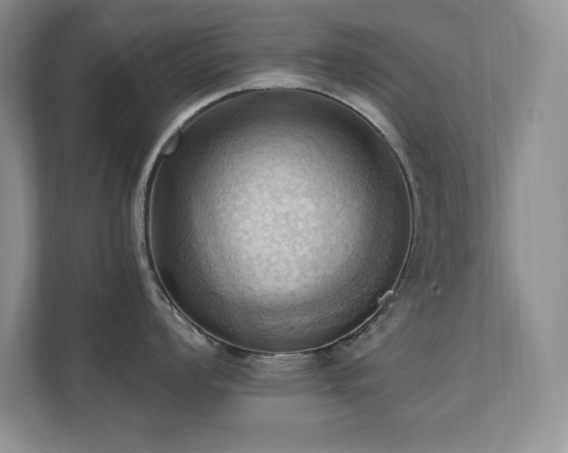 X0000111361008200907101227