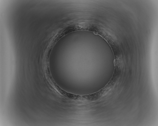 X0000111361009200907101226