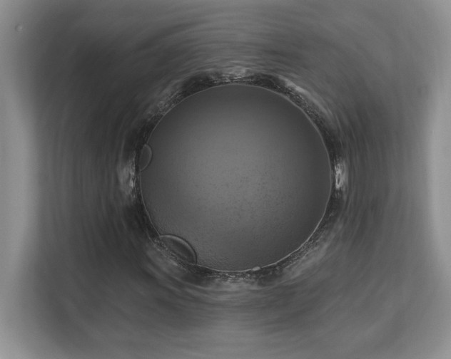 X0000111361011200907101226