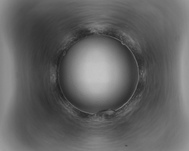 X0000111361012200907101226