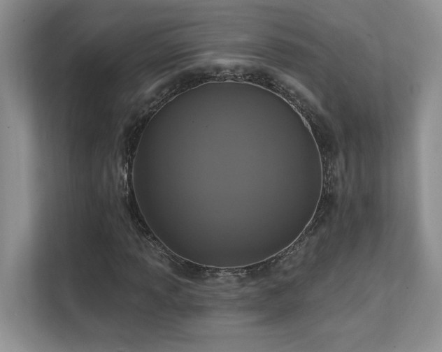 X0000111361013200907101226