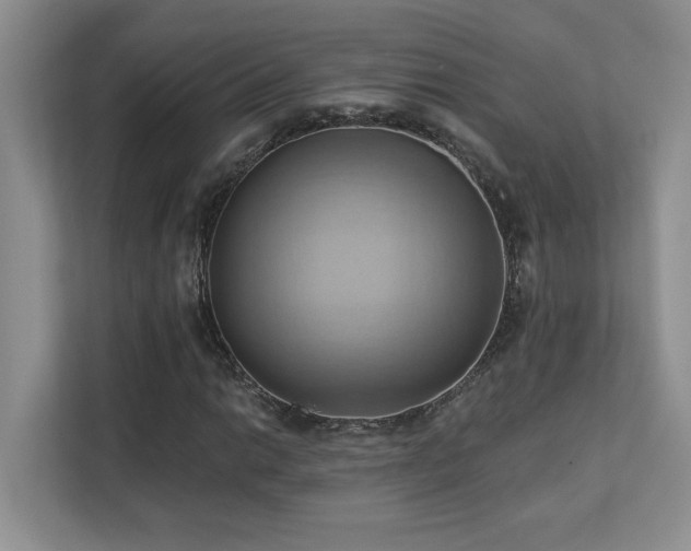 X0000111361014200907101226