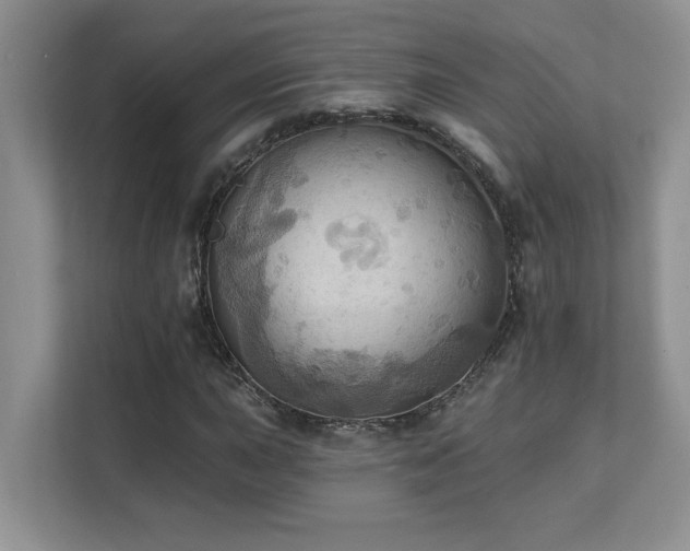 X0000111361015200907101226