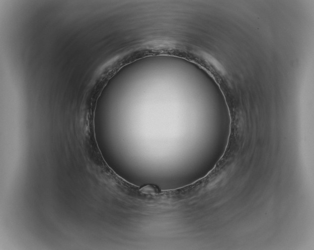 X0000111361016200907101226