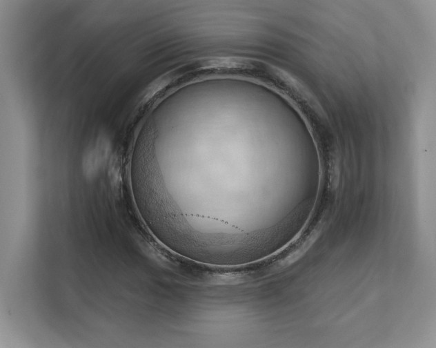 X0000111361017200907101226