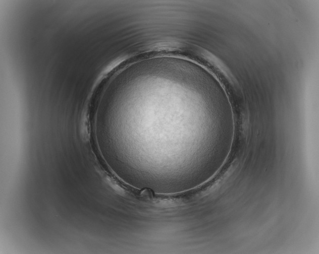 X0000111361018200907101226