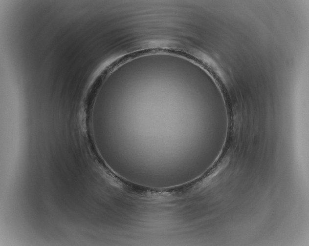 X0000111361019200907101226