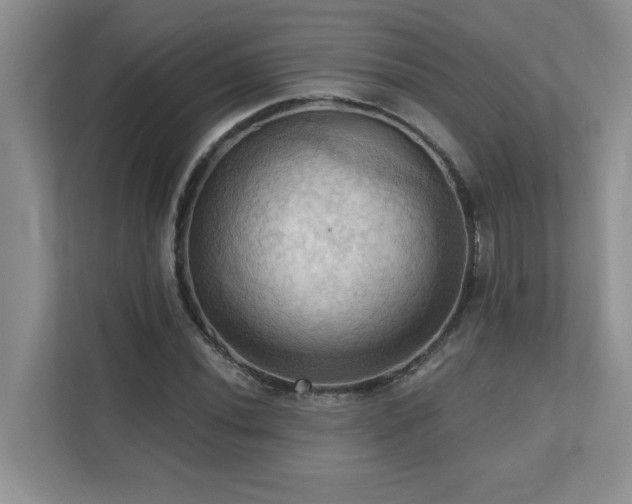 X0000111361020200907101226