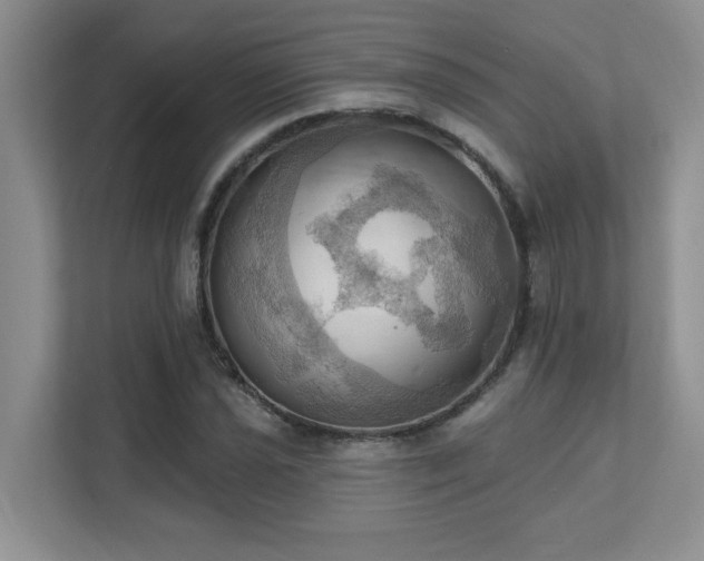 X0000111361021200907101226