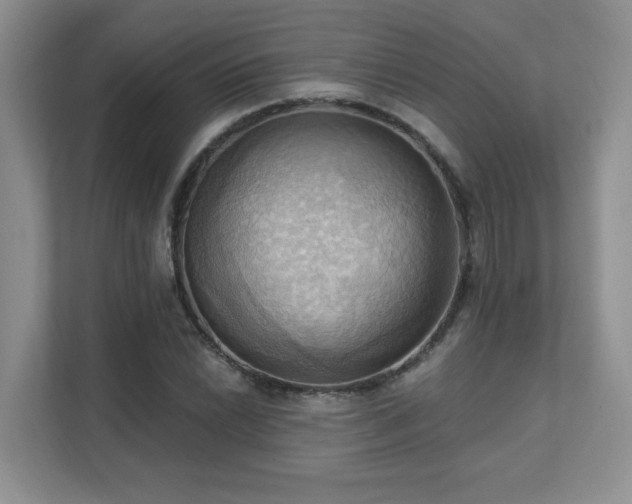 X0000111361022200907101226