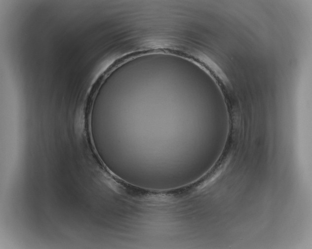 X0000111361023200907101226