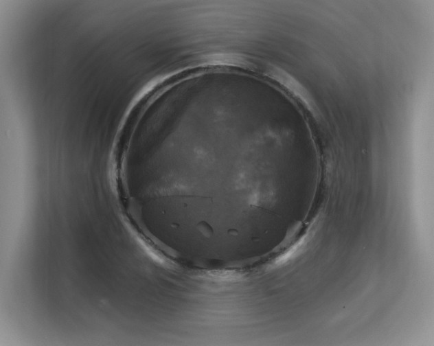 X0000111361024200907101226