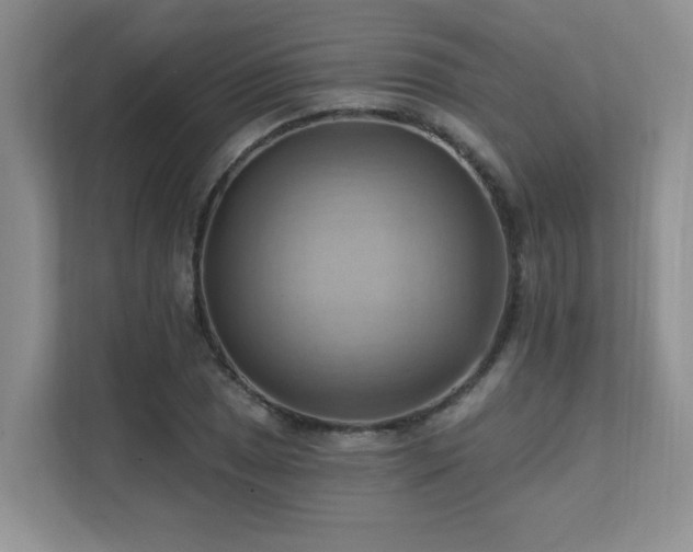 X0000111361025200907101226