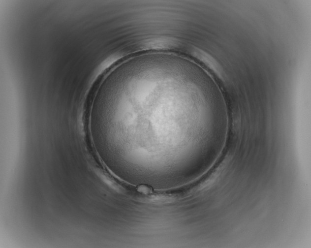 X0000111361026200907101226