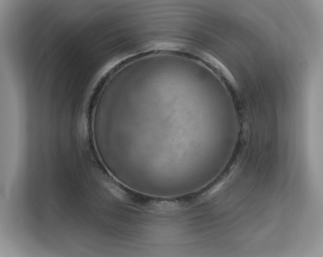 X0000111361027200907101226