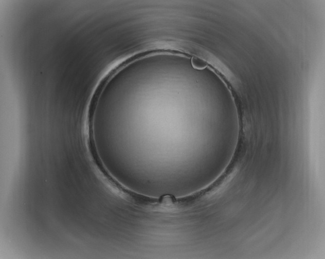 X0000111361028200907101226