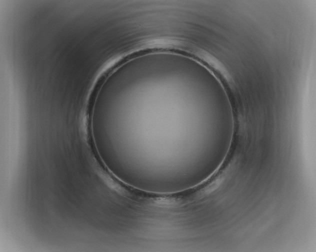 X0000111361029200907101226