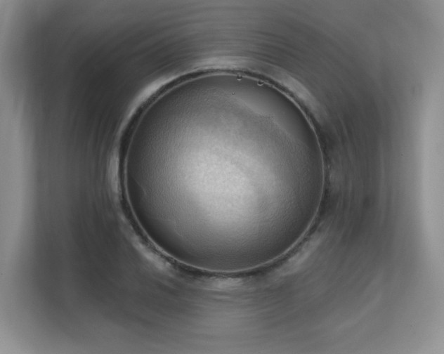X0000111361030200907101226