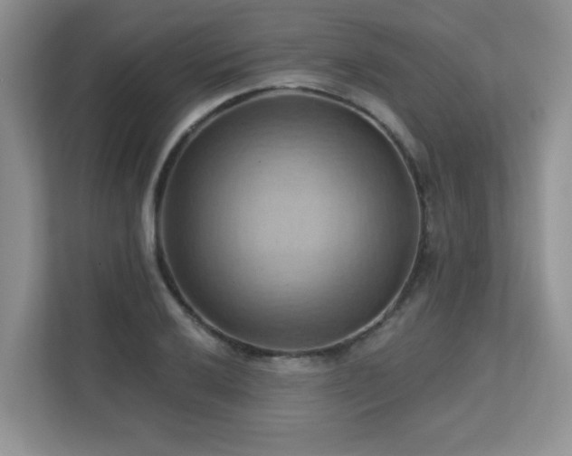 X0000111361032200907101226