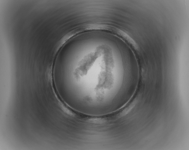 X0000111361033200907101226
