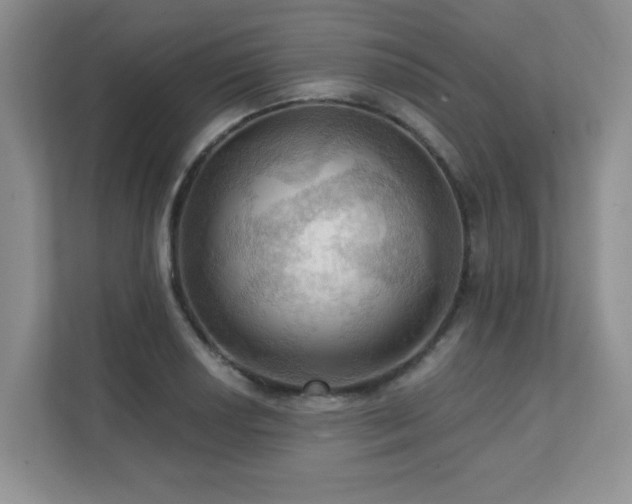 X0000111361034200907101226