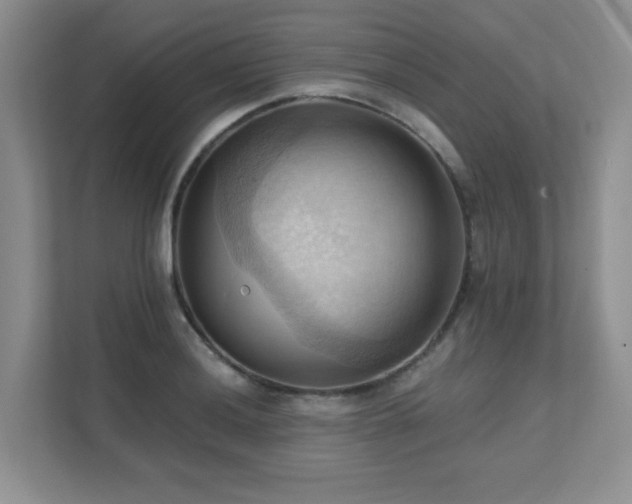 X0000111361036200907101226