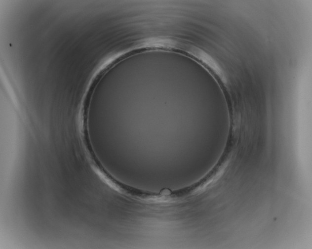 X0000111361037200907101226