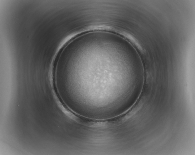 X0000111361038200907101226