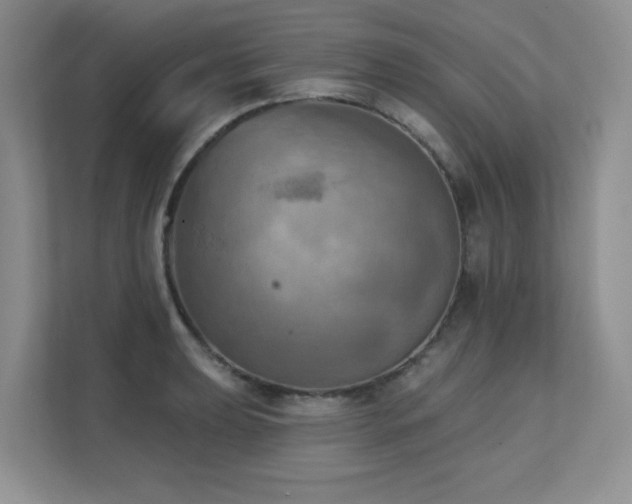 X0000111361039200907101226