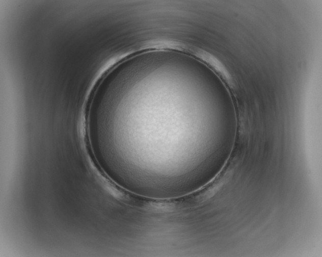 X0000111361040200907101226