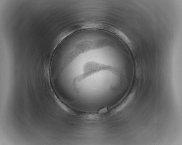 X0000111361041200907101226