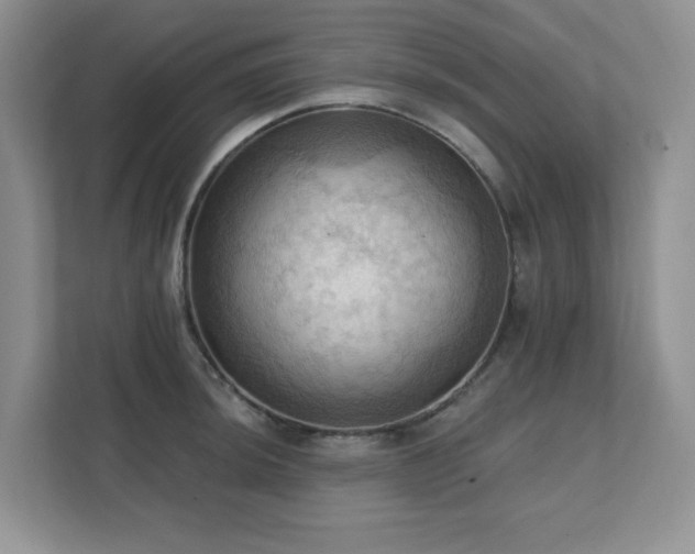 X0000111361044200907101226