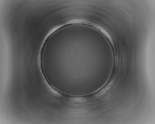 X0000111361045200907101226
