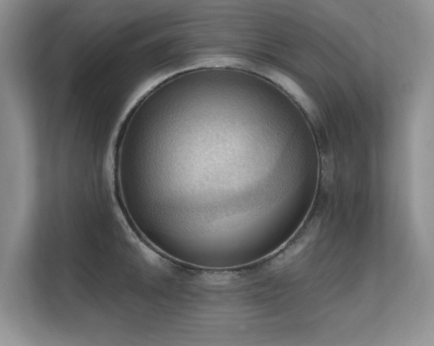 X0000111361046200907101226