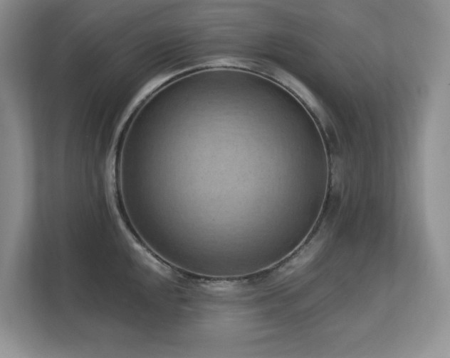 X0000111361048200907101226