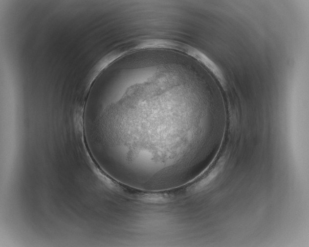 X0000111361049200907101226