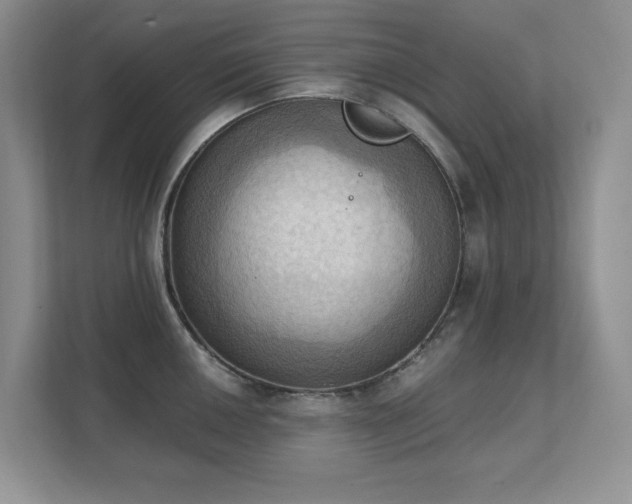 X0000111361050200907101226