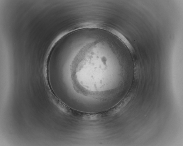 X0000111361051200907101226