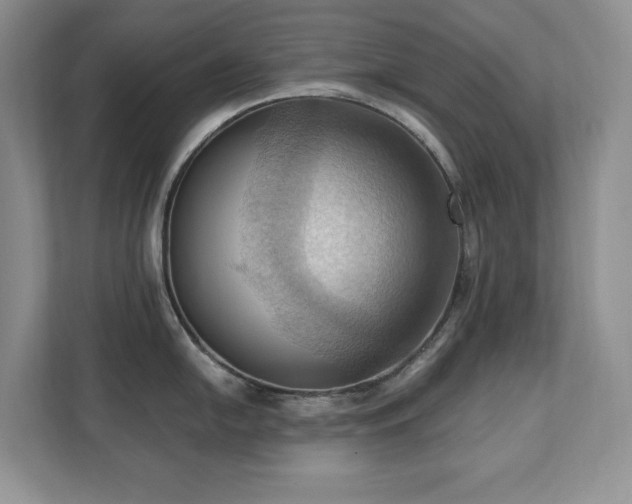 X0000111361054200907101226