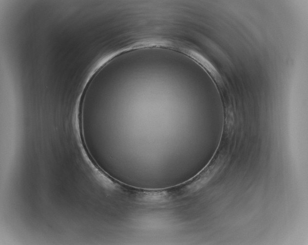 X0000111361055200907101226