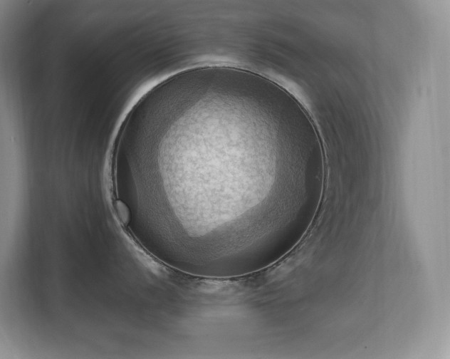 X0000111361056200907101226