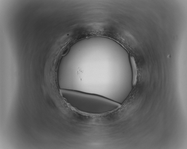 X0000111361057200907101226