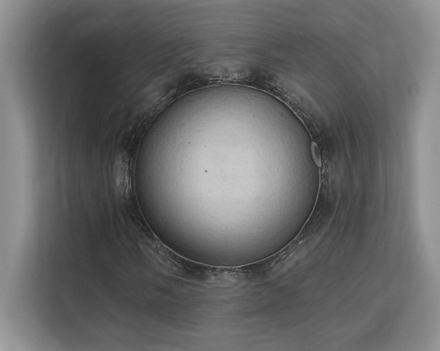 X0000111361058200907101226