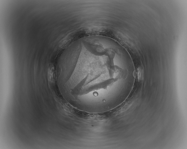 X0000111361059200907101226