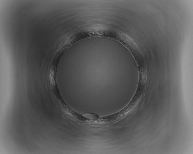 X0000111361060200907101226