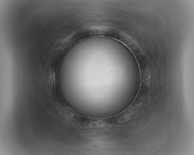 X0000111361061200907101226