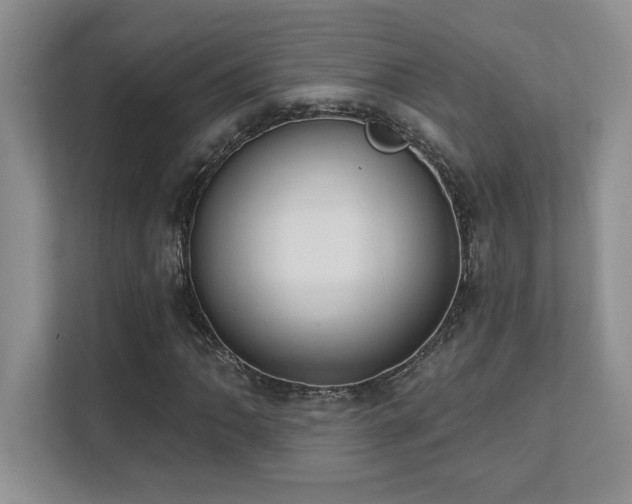 X0000111361062200907101226