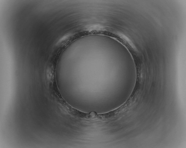 X0000111361063200907101226